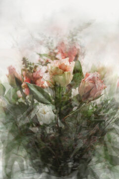 Abstract view of cut roses, lisianthus, pink and white flowers