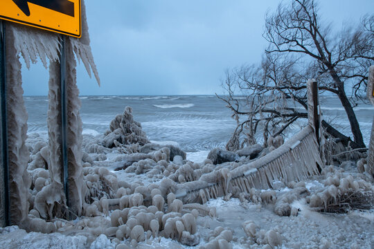Trees Encased In Ice in Lake Erie Winter Storm