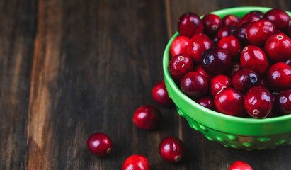 Fresh cranberries in bowl, copy space.