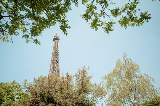 Eiffel tower seen through branches