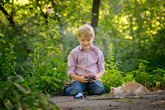 Little blond boy playing with kitten and remote control car.
