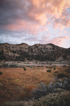Sage Brush and Pink Clouds in the Cuyama Valley