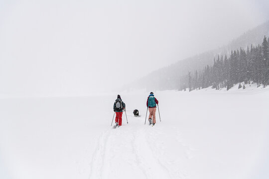 Rear view of people splitboarding on snow covered landscape