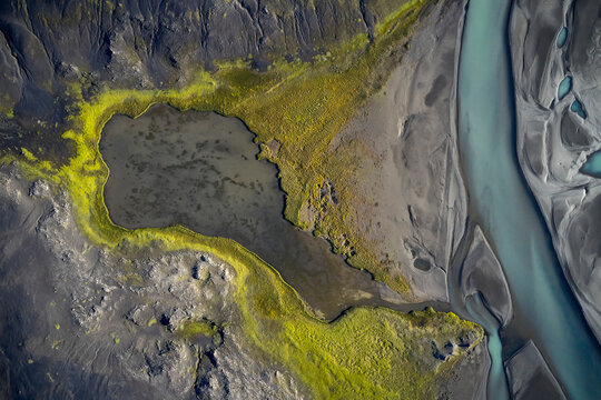 River in rough mossy wetland