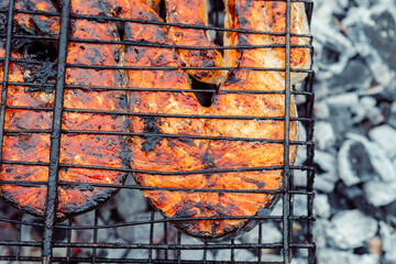 cooking fish outdoors barbecue close-up charcoal meal