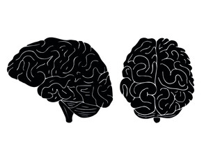 Vector hand drawn doodle sketch black human brain isolated on white background
