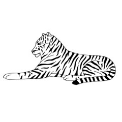 Vector hand drawn doodle sketch lying tiger isolated on white background
