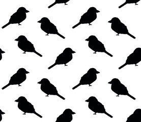 Vector seamless pattern of hand drawn doodle sketch kookaburra bird silhouette isolated on white background