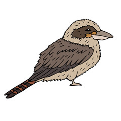 Fototapeta premium Vector hand drawn doodle sketch colored kookaburra bird isolated on white background