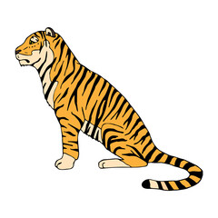 Vector hand drawn doodle sketch colored tiger isolated on white background