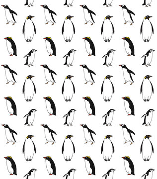 Vector seamless pattern of hand drawn doodle sketch colored penguin isolated on white background