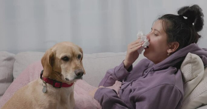 Young sick woman caughing, sneezing and blowing running nose lying down on sofa with her small yellow dog, suffering from seasonal flu or cold. Ill girl feel unhealthy with influenza at home