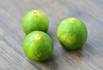 Citrus aurantiifolia, The Key lime.West Indian lime, bartender's lime, or Omani lime,  is a citrus hybrid and usually picked while it is still green, but it becomes yellow when ripe, high acidity