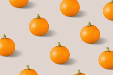 Autumn pattern with natural pumpkins on bright background. Minimal halloween holiday concept.