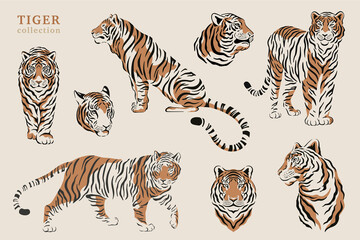Fototapeta na wymiar Set of silhouette tiger illustrations. Collection of symbols 2022. Chinese zodiac symbols of modern style and trendy colors. Vector tigers for greeting cards and happy new year posters.