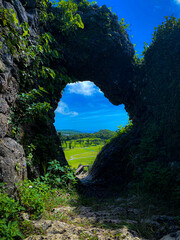 bridge over the river