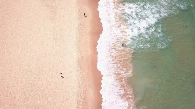 Bird eye view of beach activities during summer. Long aerial flight of clean sandy beach and clear ocean water with wave crashing the shore.