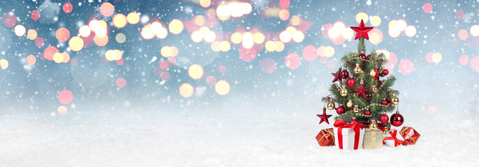 Fototapeta na wymiar Christmas Tree with decoration on a winter background.