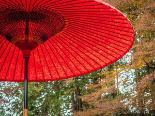真っ赤な野点傘と日本庭園