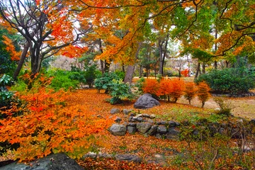 Tuinposter 紅葉シーズンの京都の円山公園の風景  © 7maru