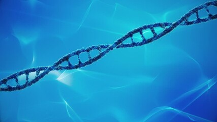 Blue DNA Strand made of blue spheres animated on a light blue looping Background; DNA molecule composed of two polynucleotide chains - Powered by Adobe