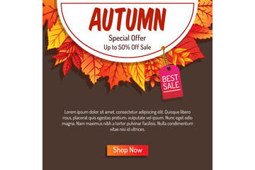 Colorful autumn Sale background, banner, poster or flyer design. Vector illustration with bright beautiful leaves frame and text fall. Template for advertising, web, social and fashion ads