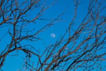 Moon Over Palo Duro Canyon State Park Outside of Amarillo, Texas 