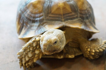 카페, 인테리어, 휴가, 휴식, 