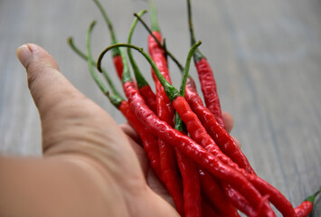 Red Chili Curly, is classified as either a vegetable or a condiment, depending on how it is used....