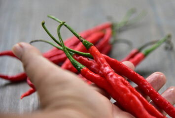 Red Chili Curly, is classified as either a vegetable or a condiment, depending on how it is used. As a condiment, spicy chilies are very popular in Indonesia as a food flavor enhancer