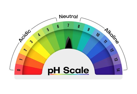 ph scale value meter with acid, neutral and alkaline measure chart, diet control. Vector ph scale of water balance and chemical indicators of food, diagram graphic for healthy body diet