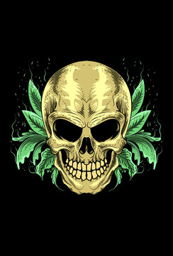 Skull with leaf vector illustration