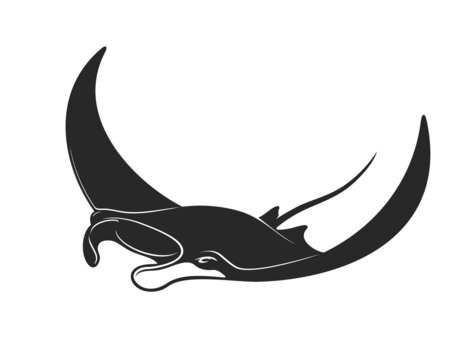Manta underwater animal, giant devil ray. Isolated vector devilfish mascot black silhouette with triangle shaped fins and long tail. Ocean or sea water animal, zoo aquarium and oceanarium