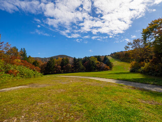 Autumnal mountains on a sunny day (Zao, Yamagata, Japan)