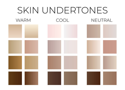 Gradient Skin Undertone Color Swatches with Warm, Cool and Neutral Colors
