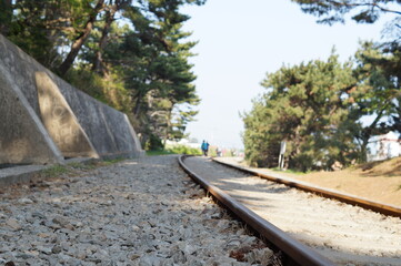 철길, 철도, 해안선, 기차, 기찻길, 동부선, 여행, 간이역, 
