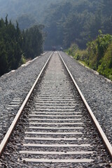 Fototapeta premium 철길, 철도, 해안선, 기차, 기찻길, 동부선, 여행, 간이역, 