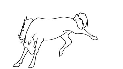 bucking horse outline