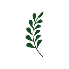 leaf branch graphic design template vector