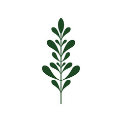 leaf branch graphic design template vector