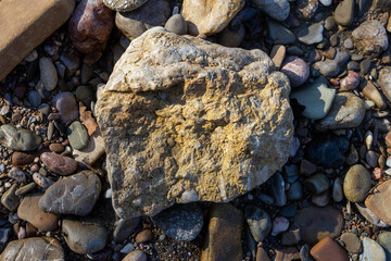 a journey along the bed of a mountain river, an autumn day, a shallow bottom and stones are warming up in sunlight, nature is preparing for winter.