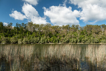 Lake Allom, K'Gari/Fraser Island