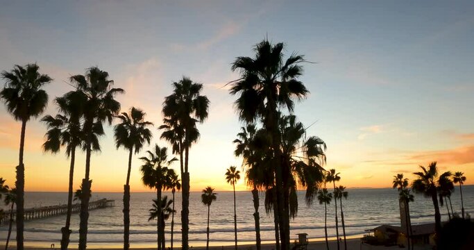 Silhouette Of Palm Trees At San Clemente Beach During Scenic Sunset In California, USA. - aerial pullback