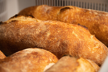 Fresh hot artisan bread in a white plastic transport box. Healthy and tasty food baked goods
