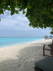 A view from under the branches of a tree to the coast of the Indian Ocean with white sand, azure water, sun loungers and awnings standing on the beach, under which people in the Maldives relax