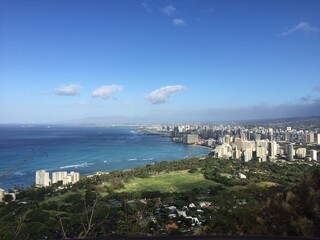 日本の自然、日本の食べ物