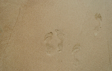 Marine fine wet sand. Footprints in the sand