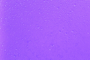 purple background with water drops close-up 