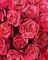 Red Rose Floral Arrangement In Paris