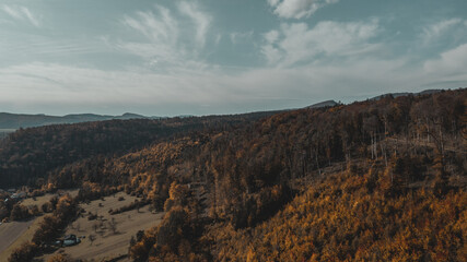 Birdseye view over a forest